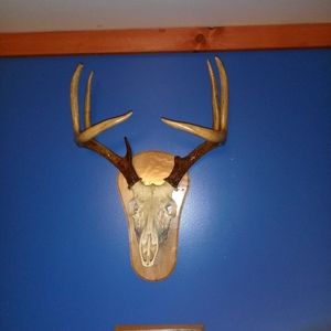 Meet your Posher, Cadence